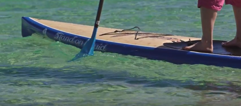 Why Spend More on a SUP Paddle?