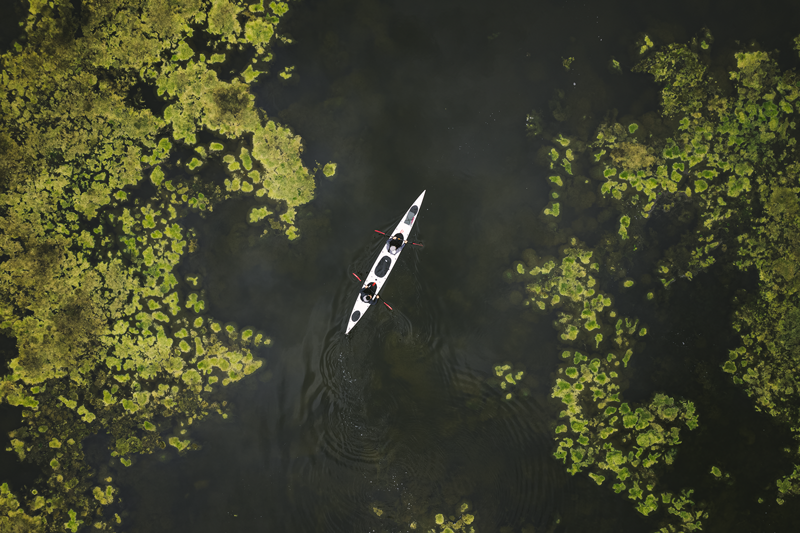 Choosing a Ray Series Kayak Paddle from Aqua Bound