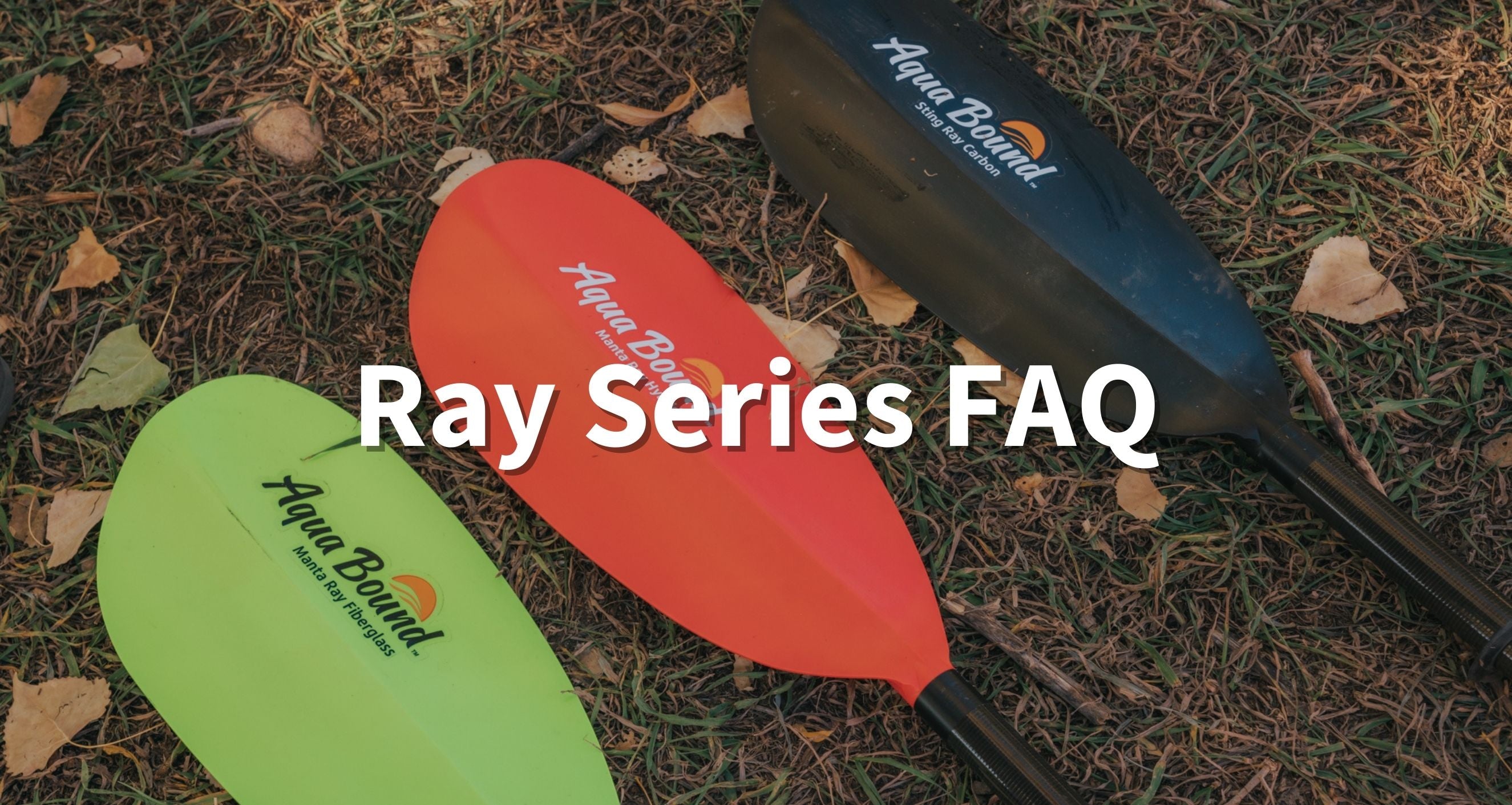 Ray Series FAQ