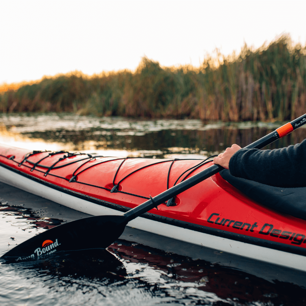 sting ray carbon 2-piece posi-lok partly in water