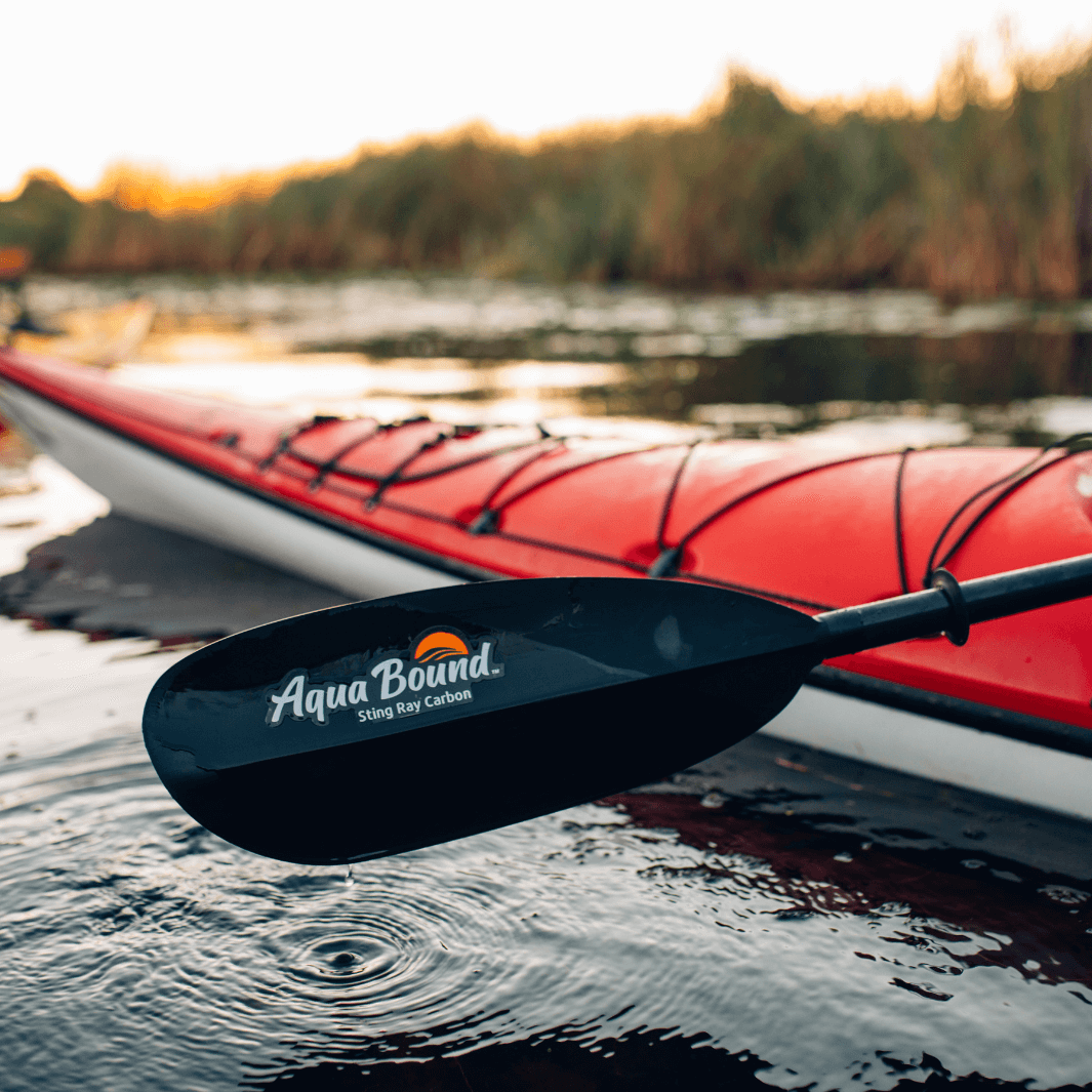 sting ray carbon 2-piece versa-lok close up