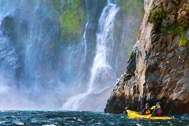 Kayaking in Milford Sound, New Zealand
