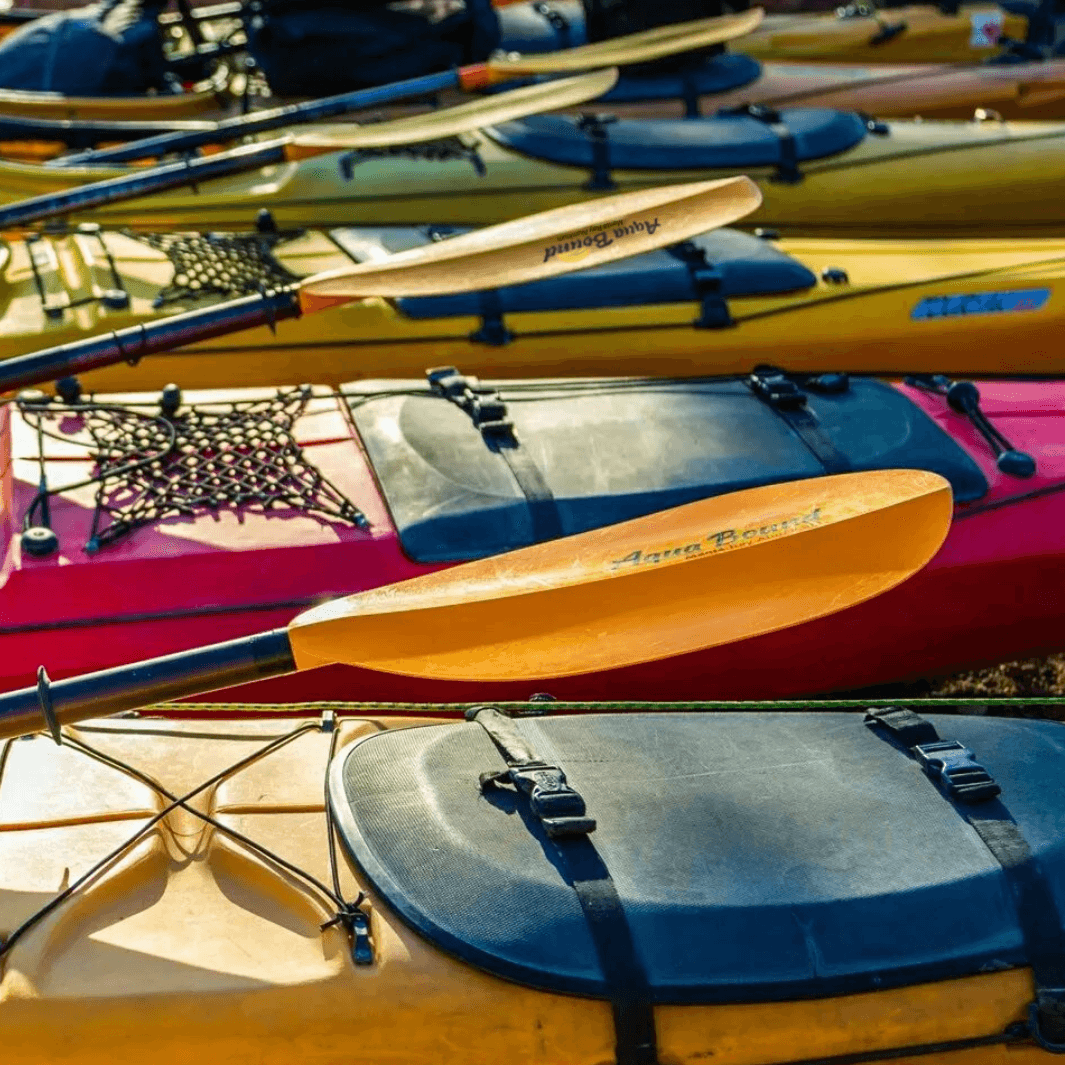 manta ray aluminum paddles laying across kayaks on shore