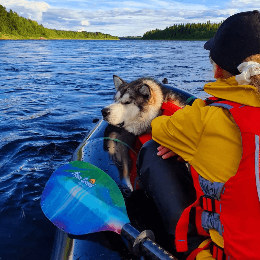 whiskey fiberglass northern lights paddle in packraft with girl and husky dog#color_northern-lights